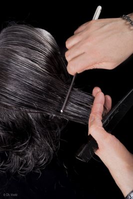 Physiologie du cheveu expliquée par Sébastien Ledentu coiffeur énergéticien à Bruxelles